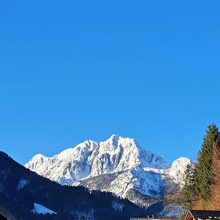 Апартаменты Apartma Pirc *