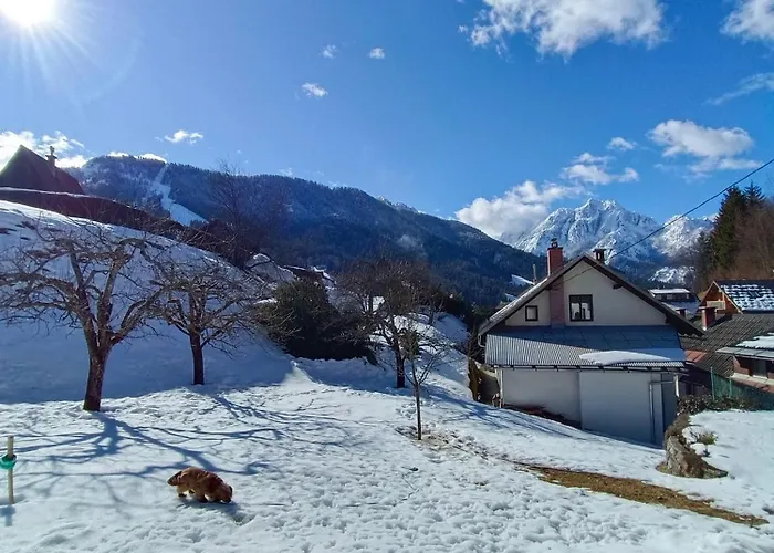 Appartement Apartma Pirc